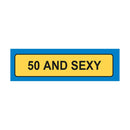 Age and Sexy License Plate Keyring