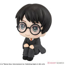 Harry Potter Character Model