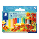 Noris Club Oil Pastels (Box of 12)