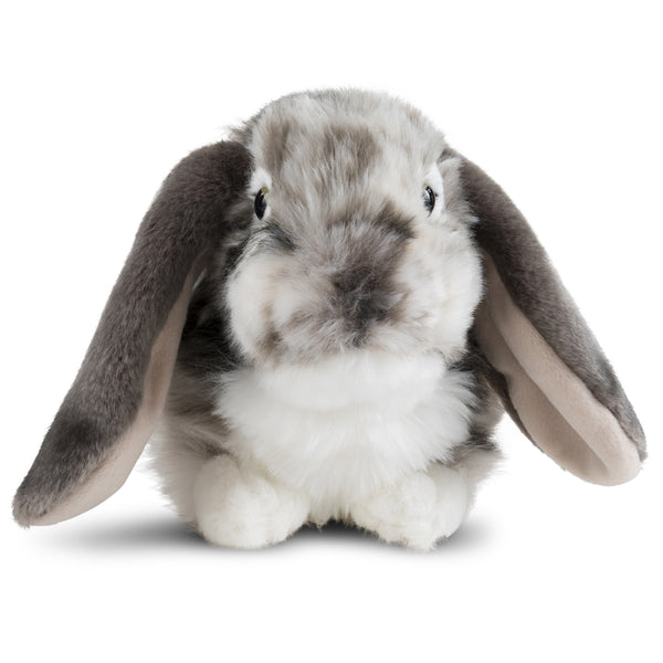 Living Nature Grey Dutch Lop Ear