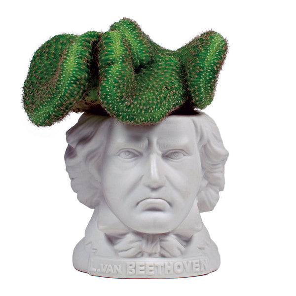 Ludwig van Beethoven Planter