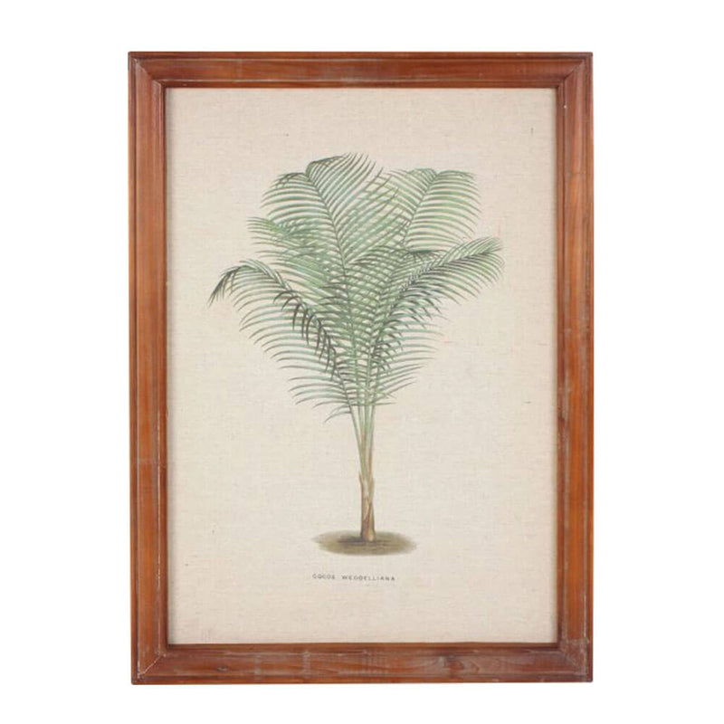 Innrammet vintage Palm Wall Art (38x52x1.8cm)