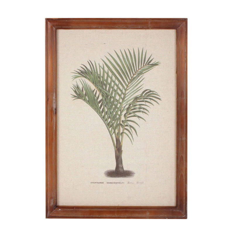 Innrammet vintage Palm Wall Art (38x52x1.8cm)