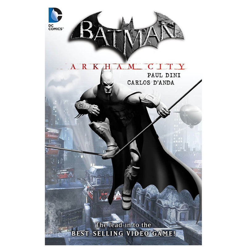 Batman Graphic Novel