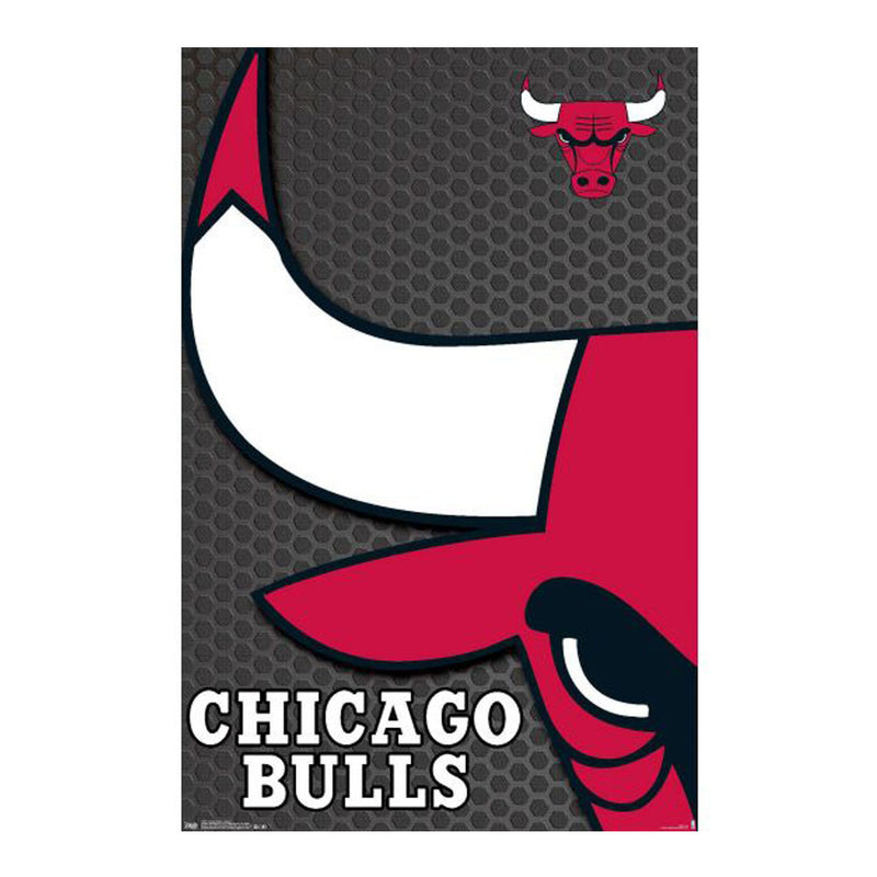 NBA Chicago Bulls -plakat