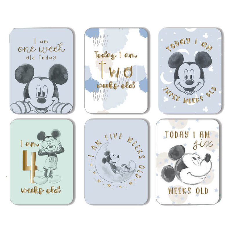 Disney Gifts Milestone Cards (24 stk)