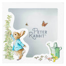 Peter Rabbit Money Bank