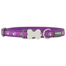 Desert Paws Dog Collar (Purple)