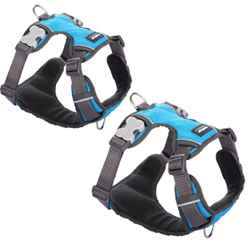 Padded Harness (Turquoise)